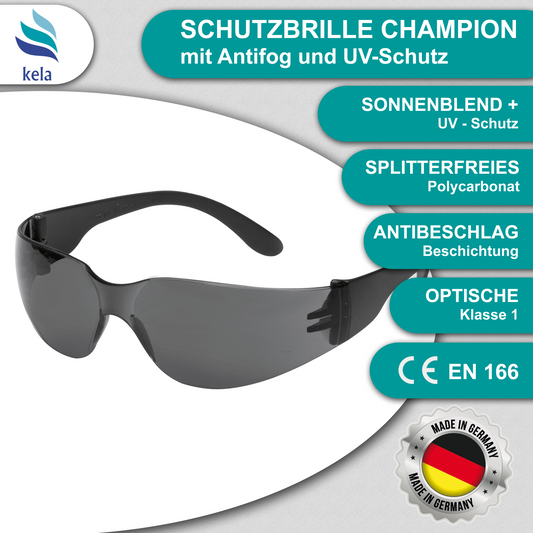 Safety glasses CHAMPION - SMOKE